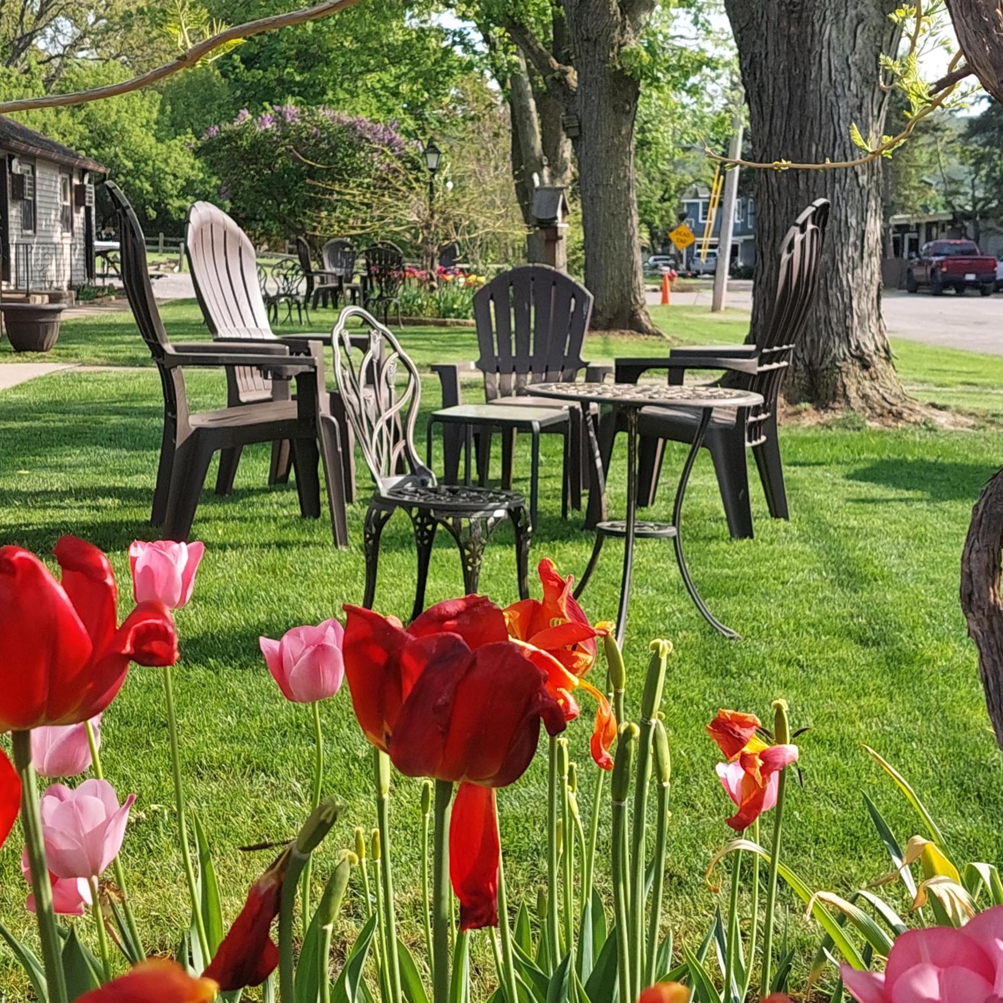 Riverside Motel Lewiston Εξωτερικό φωτογραφία